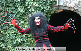 Fantaisies Microcosmiques Photos Philippe Fretault